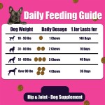 Dog Vitamins Supplier - Bacon Flavor 140 Soft Chews