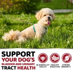 Pet Nutrition Supplement Supplier - Cranberry Essential Vitamin
