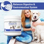 Probiotic Supplement Factory - Digestive Support Powder Bottles