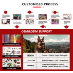 Dog Collar Supplier - Anti-Strangulation Tactical Alloy Buckle