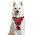 Dog Harness Supplier - Easy Install No Pull Soft Padded