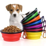 Pet Folding Bowl Factory - TPE Silicone Outdoor Portable