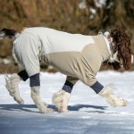 Dog Ski Suit Manufacturer - Luxury Padded Waterproof Windproof