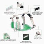 Dog Harness Manufacturer - Reflective Breathable Mesh No Pull