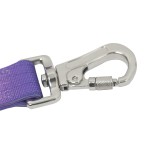 Dog Leash Supplier - Comfort Handle Gradient Colour Outdoor