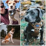 Dog Harness Supplier - 900D Nylon Breathable Mesh Reflective