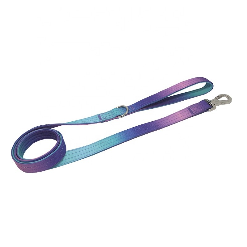 Dog Leash Supplier - Comfort Handle Gradient Colour Outdoor
