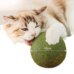 Cat Training Toy Supplier - Super Big Gall Fruit Catnip Ball
