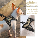 Pet Dog Harness Supplier - Comfortable Mesh Padded Adjustable