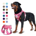 Dog Harness Set Factory - Oxford Solid Print Mesh Neoprene