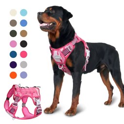 Dog Harness Set Factory - Oxford Solid Print Mesh Neoprene