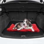 Pet Mat Manufacturer - Portable Outdoor Waterproof Foldable