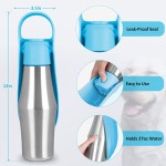 Pet Water Bottle Supplier - Portable Stainless Steel Leaf Lid