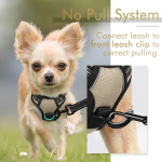 Pet Dog Harness Supplier - Comfortable Mesh Padded Adjustable