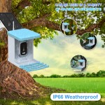 Smart Bird Feeder Supplier - Outdoor HD Camera AI Identification