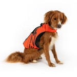 Dog Life Jacket Manufacturer - Ultra-Buoyant Foam Superior Flotation