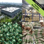 Catnip Ball Supplier - Avocado Unbeaten Feather Interactive