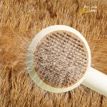 Pet Cleaning Comb Factory - 2-in-1 Sticky Hair Remover Massage