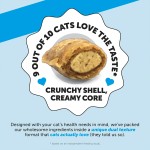 Pet Vitamins Factory - Chicken-Flavored Powder Skin Coat