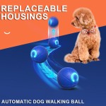 Pet Rolling Ball Supplier - Intelligent TPR Gravitational Jumping