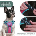 Dog Harness Vest Manufacturer - Hot Selling Breathable Mesh Lining