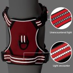 Dog Training Harness Factory - Custom Tactical Reflective Handle