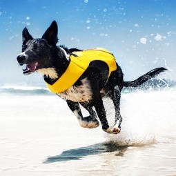 Dog Life Jacket Manufacturer - Ultra-Buoyant Foam Superior Flotation