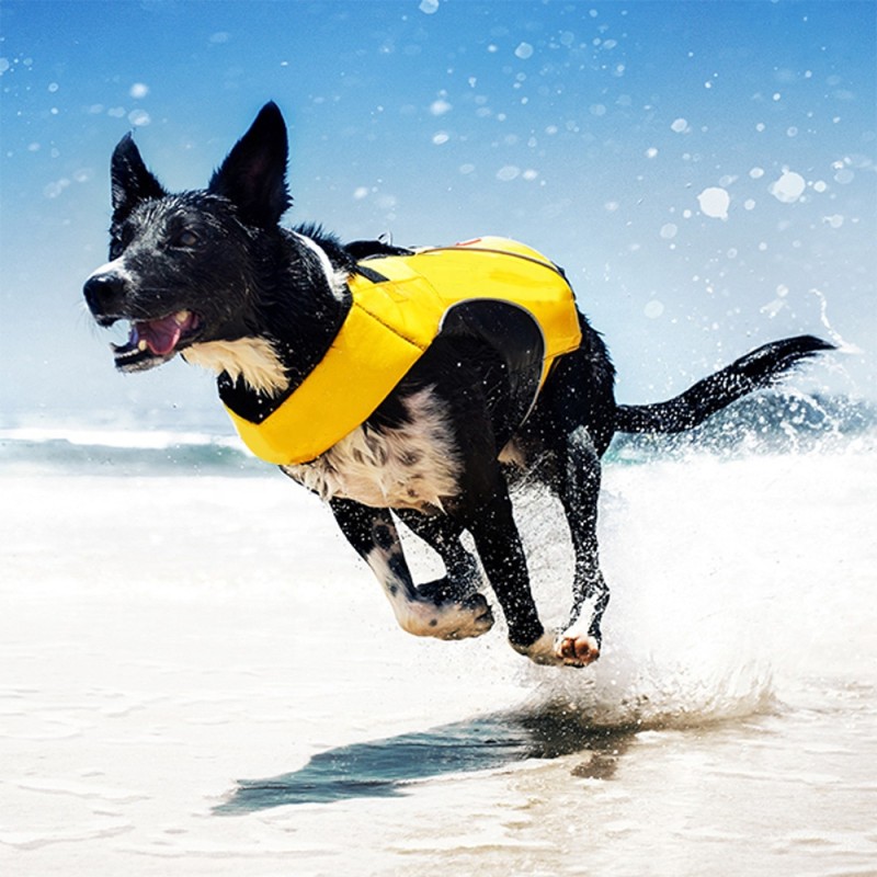 Dog Life Jacket Manufacturer - Ultra-Buoyant Foam Superior Flotation