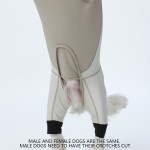 Dog Ski Suit Manufacturer - Luxury Padded Waterproof Windproof