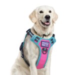 Dog Harness Vest Manufacturer - Hot Selling Breathable Mesh Lining