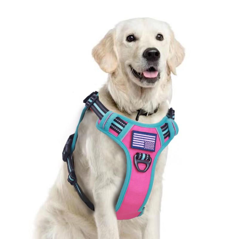 Dog Harness Vest Manufacturer - Hot Selling Breathable Mesh Lining