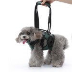 Pet Carrier Harness Factory - Multi-Functional Nylon Lift Strap
