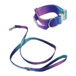 Dog Leash Supplier - Comfort Handle Gradient Colour Outdoor