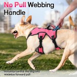 Dog Vest Harness Manufacturer - Custom Escape Proof Soft Padded