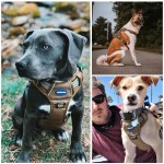 Dog Harness Manufacturer - Tactical No Pull Reflective Nylon