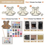 Dog Harness Supplier - Custom Logo Nylon Tactical No Pull