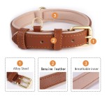 Dog Collar Factory - New Hot Lychee Grain Head Layer