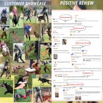 Dog Training Stick Manufacturer - Professional Custom Linen Bite