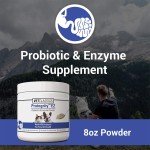 Probiotic Supplement Factory - Digestive Support Powder Bottles