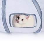 Cat Tunnel Supplier - Easy Collapsible S-Shape Interactive