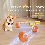 Pet Rolling Ball Supplier - Intelligent TPR Gravitational Jumping