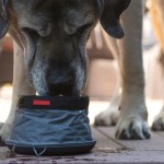 Pet Bowls Manufacturer - Collapsible Ripstop Material Waterproof