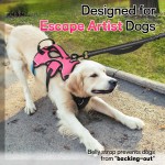 Dog Vest Harness Manufacturer - Custom Escape Proof Soft Padded