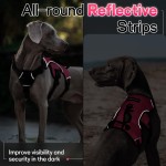 Dog Vest Harness Manufacturer - Custom Escape Proof Soft Padded