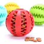 Pet Molar Toy Factory - Watermelon Slow Feeder Treat Dispensing