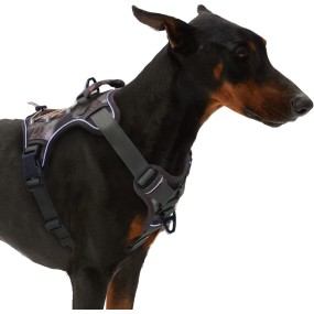 Dog Training Vest Supplier - New Design Big Heavy Duty Tactical