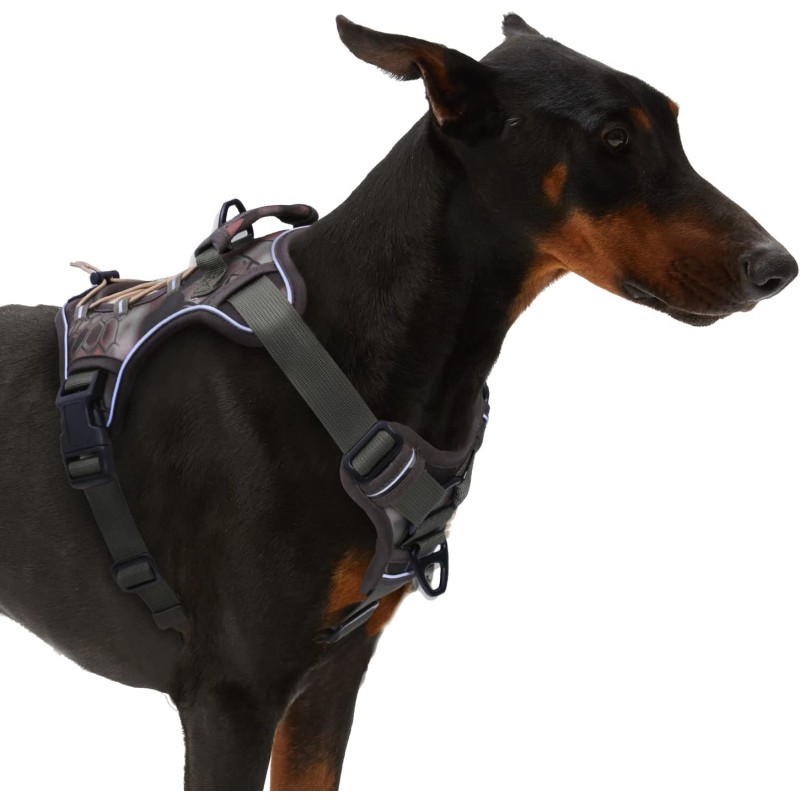 Dog Training Vest Supplier - New Design Big Heavy Duty Tactical