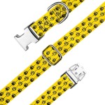 Cat Collar Supplier - Personalized Floral Engraved Breakaway