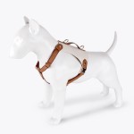 Pet Vest Set Manufacturer - Luxury Soft Mesh Waterproof Leather