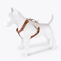 Pet Vest Set Manufacturer - Luxury Soft Mesh Waterproof Leather